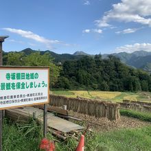 寺坂棚田と曼珠沙華