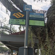 バスはここで降りてね。