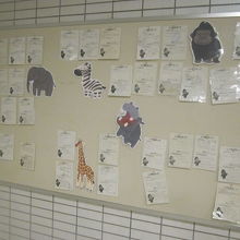 それぞれの動物別に分類されていて見易い掲示が秀逸でした