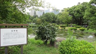 開園当初からある伝統的な日本庭園です