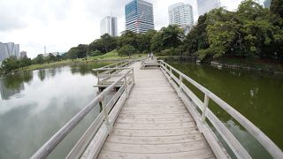 庭園内の端っこ