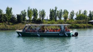 富岩運河内を運行しているクルーズ船。気持ちいいです。