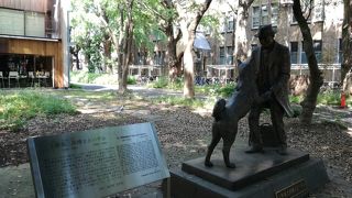 上野英三郎博士＆ハチ公