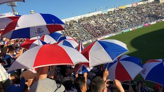 来年は来ないかも