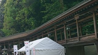 御本宮と三穂津姫社を繋ぐ