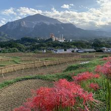 寺坂の棚田と彼岸花
