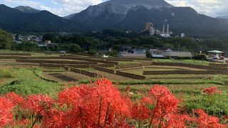 首都圏から一番近い棚田！池袋駅から西武特急で73分で行ける本格的な棚田です！秋は石楠花が