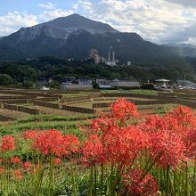 寺坂の棚田と彼岸花