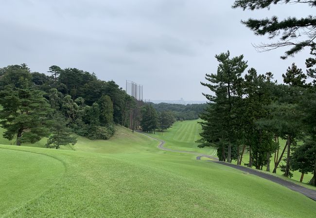 手入れの行き届いた