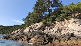 グラスボートツアーではこの島のすぐ近くまで