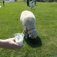 牧場のソフトクリーム