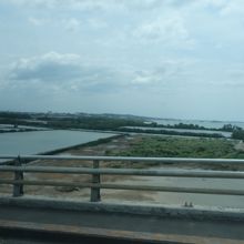 マクタン島とセブ島をつないでいる