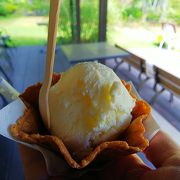 やっぱりアイスは外で食べるのが美味しい