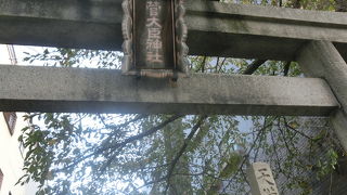 菅公ゆかりの飛梅はここ