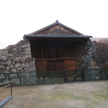 岩と木のコラボです