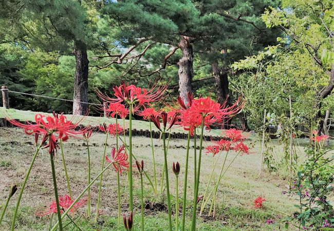 都立殿ヶ谷戸庭園 クチコミ アクセス 営業時間 国分寺 小金井 フォートラベル