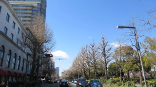 みどころいろいろ