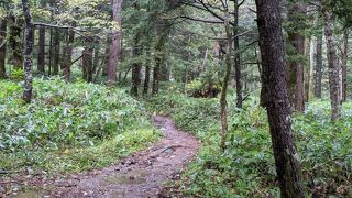 上高地大好きです。