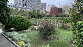 気持ちの良い公園