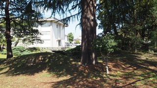 家老の内藤氏の屋敷の庭