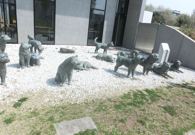 国立極地研究所 南極 北極科学館 クチコミ アクセス 営業時間 立川 フォートラベル 国立極地研究所 南極 北極科学館 クチコミ アクセス 営業時間 立川 フォートラベル