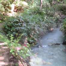 遊歩道沿いにあります