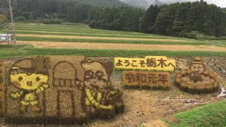 田んぼアート