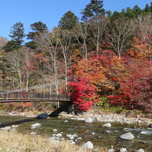 紅の吊橋周辺の紅葉