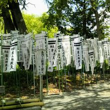 源氏の二引き白旗が沢山奉納されている