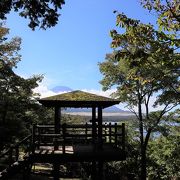 木々の中からのぞく、富士山と山中湖の眺めがすてき