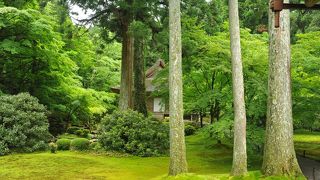 青もみじの聖地