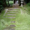 苔が美しい池の畔の神社