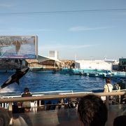 きれいで大きな水族館