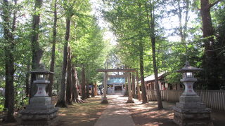 神社らしさが感じられる神社です