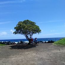 ケアナエ半島