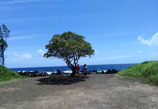 ケアナエ半島