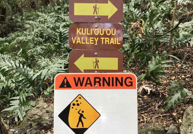 距離は長めだが、木陰が多いトレイル。