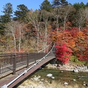 吊橋と紅葉を楽しむ