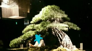 ちょっと高級感があります