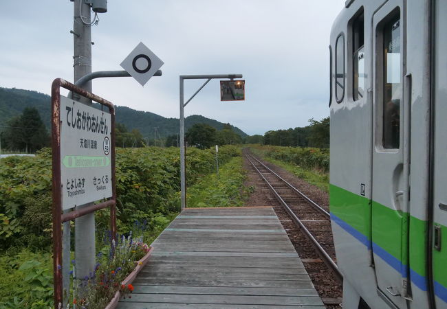 自然に囲まれた静かな温泉。