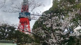 増上寺の本殿の裏側にある