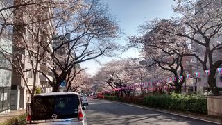 文京区らしく、上品な街並みが続いていて、パリの街並みを彷彿