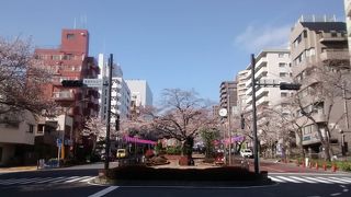 春日通りから小石川植物園方面へ下り坂なので、この方向で徒歩散策がおすすめです。