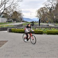 構内を自転車で行き来する学生に何度も遭遇した