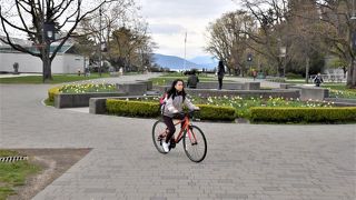 キャンパス内を自転車で行き来する学生に出会うなど日本の大学構内にも似ていた