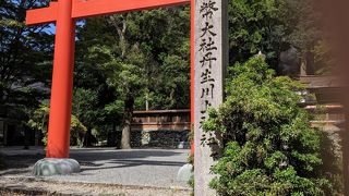 御神馬がかわいい