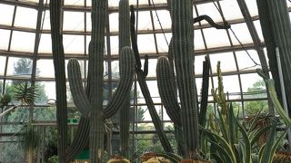 市営のちいさな植物園