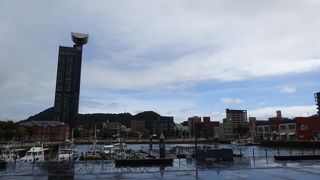 朝の散歩に良い。