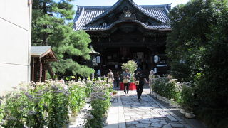 「藤袴祭」を開催！