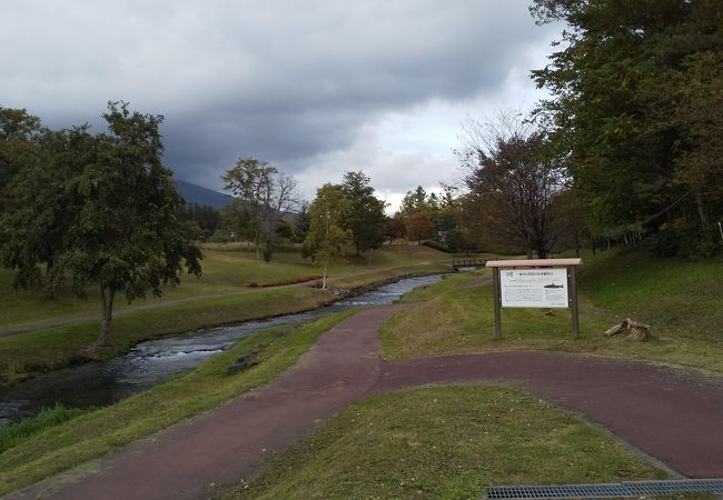 美しい川と公園